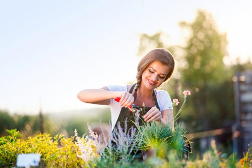 Photograph of a gardener examining a garden bed