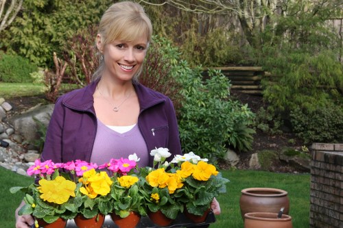 Professional gardeners working in Muswell Hill